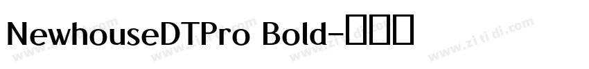 NewhouseDTPro Bold字体转换